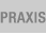 praxis