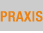praxis